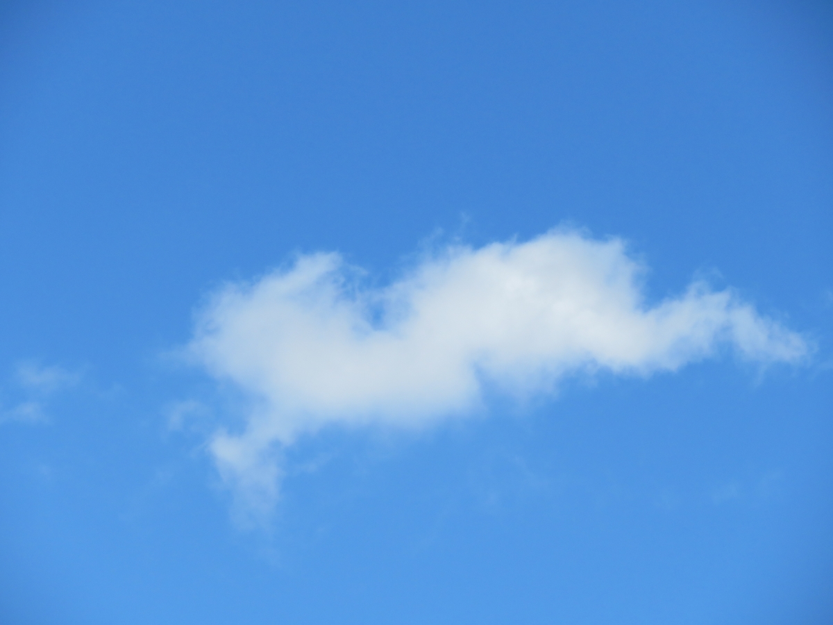 ECM Sky Bunny 2020 Robert Gehr